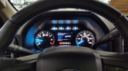 Ford F 150 Mod 2016 full